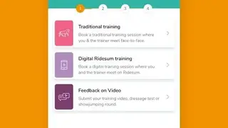 Ridesum screenshot