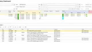 RigER screenshot