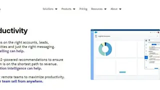 RingDNA screenshot