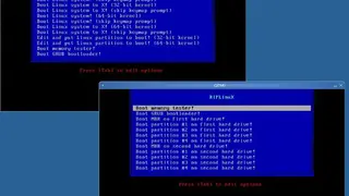 RIPLinuX screenshot