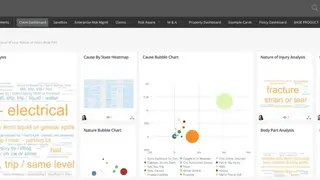 Riskonnect screenshot