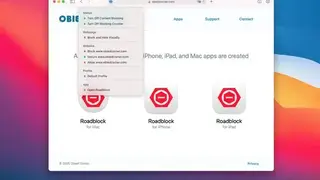 Roadblock screenshot