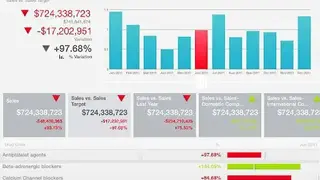 Roambi Analytics screenshot