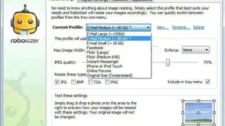 RoboSizer screenshot