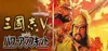 Romance of the Three Kingdoms V