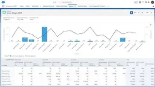 Rootstock ERP screenshot