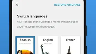 Rosetta Stone screenshot