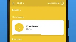 Rosetta Stone screenshot