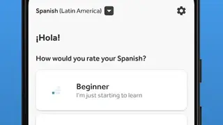 Rosetta Stone screenshot