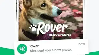 Rover screenshot