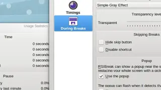 RSIBreak screenshot