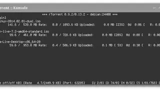 rTorrent screenshot