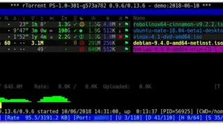 rTorrent screenshot