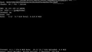 rTorrent screenshot