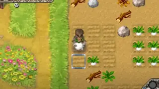 Rune Factory screenshot