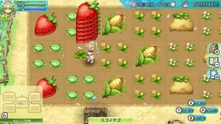 Rune Factory screenshot