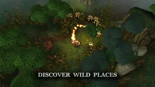 Runic Rampage – Hack and Slash RPG screenshot