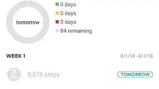 Runtastic Steps screenshot