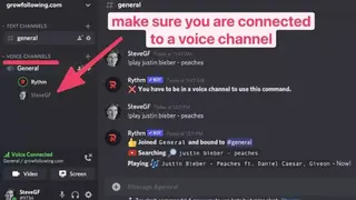 Rythm Bot screenshot