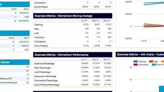 SaaSOptics screenshot
