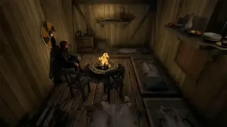 SAELIG screenshot