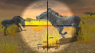 Safari Hunting screenshot