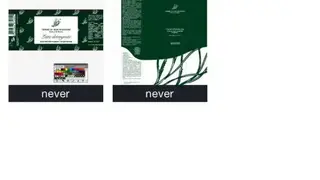 Safe Design screenshot
