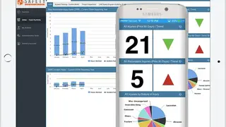 Safety Indicators screenshot