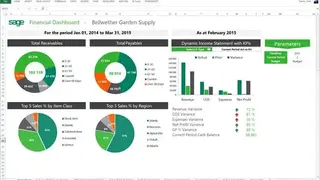 Sage Evolution screenshot
