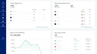 SailPoint SaaS Management screenshot