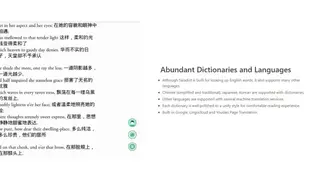 Saladict screenshot