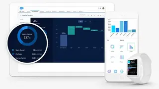 Salesforce Analytics Cloud screenshot