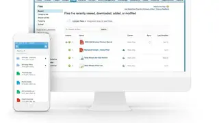 Salesforce Chatter screenshot