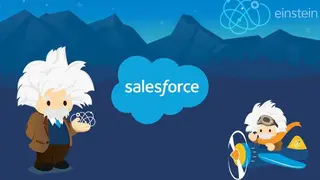 Salesforce Einstein screenshot