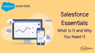 Salesforce Essentials screenshot