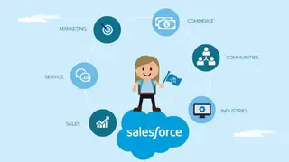 Salesforce Platform screenshot