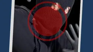 Salient Eye screenshot