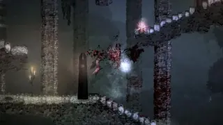Salt and Sanctuary screenshot