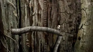 Samorost 2 screenshot