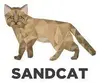 Sandcat Browser