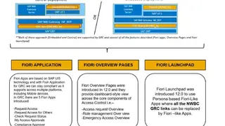 SAP Access Control screenshot