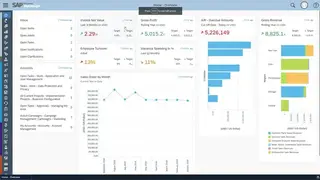 SAP Business ByDesign screenshot
