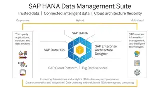 SAP Data Management screenshot