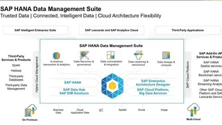 SAP Data Management screenshot