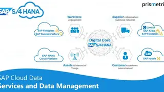 SAP Data Management screenshot