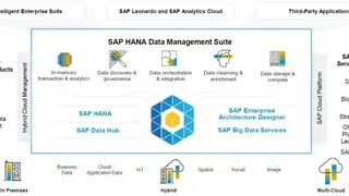 SAP Data Management screenshot