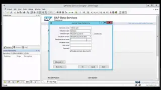 SAP Data Services screenshot