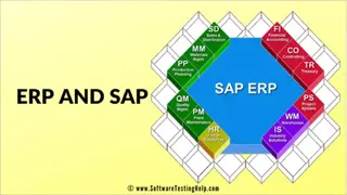 SAP ERP screenshot