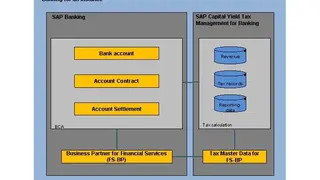 SAP for Banking screenshot