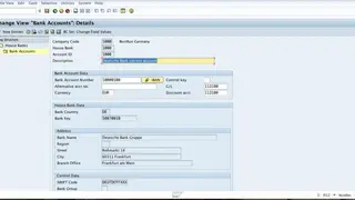 SAP for Banking screenshot